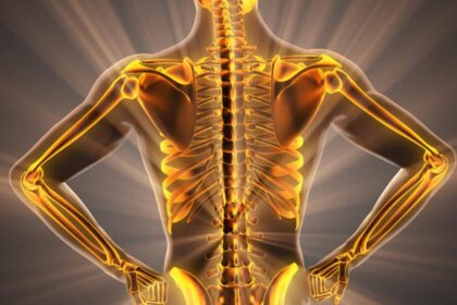 The Secret to Strong Bones: A Complete Guide to Lifelong Bone Health 5 strong bone health